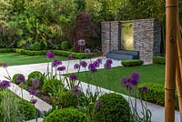 Town garden designed by Kate Gould. Glimpsed through a hedge of golden bamboo, a stainless steel water feature set into a dry stone wall. Rectangular patches of lawn are edged in box balls interplanted with purple and white allium. Boundary beds are filled with bamboo, cordyline, acer, Trachycarpus fortunei, hosta and euphorbia.