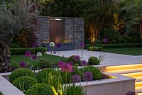 Town garden designed by Kate Gould at night. Glimpsed through box balls interplanted with purple and white allium, a stainless steel water feature. 