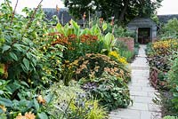 Path through the Lanhydrock Garden, otherwise known as the hot garden, with plants including Saliva confertiflora, Carex elata 'Aurea', heleniums, achilleas and tall cannas. Wollerton Old Hall, nr Market Drayton, Shropshire, UK