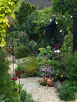 A pretty town garden with mixed cottage garden style planting.