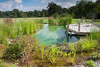 Man relaxing in swimming pond.