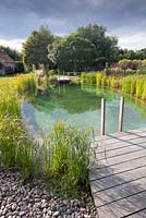 View of decking leading to swimming pond in domestic garden with mature trees.
