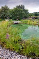 View of swimming pond in domestic garden. September.