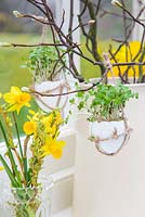 Egg Shell Cress hanging in a rustic string satchel, amongst an Easter setting. 