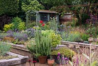 Painted garden shed behind raised beds of herbs such as sage and lavender, and flowers of sedum, osteospermum, diascia, agapanthus and Californian poppies.