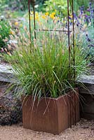 A rusted corten steel container with Pennisetum grasses. Behind, lavender and Californian poppies.
