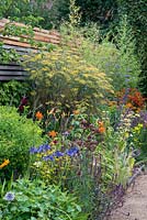 A border planted against a slatted fence containing late summer flowering perennials including agapanthus,  salvia, kniphofia, daylily, fennel, helenium, Verbena bonariensis, phlomis and Carthusian dianthus.