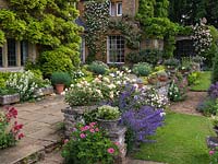 By house, stone terrace edged in catmint, valerian and Rosa Gloire de Dijon scrambling along the wall. Pots of marguerites on sheltered terrace