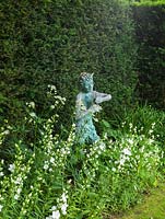 Statue rests in shady border of white corydalis, campanula, astrantia and viola, offset against a dark yew hedge.