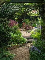 Gravel, stepped pathway leading from shade of pergola.