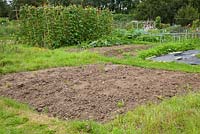 Allotments - a bare patch of soil