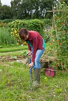 Allotments - a woman starting to dig over a neglected patch