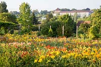 View over the Hemerocallis borders to the Weihenstephan hill with lecture halls