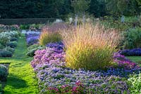 A classic border at Weihenstephan Trial Garden with squares of Aster dumosus with Panicum virgatum