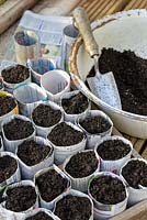 Filling seed sowing pots made from newspaper with compost.