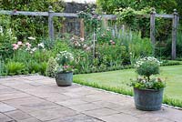View of mixed Summer border under pergola, patio containers filled with Marguerites and bedding plants - Priory House, Wiltshire