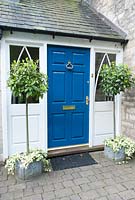 Blue painted front door between standard Bay trees in Ivy -filled containers - Priory House, Wiltshire