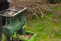 Beech tree prunings being shredded and collected for mulch