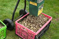 Beech tree prunings being shredded and collected for mulch