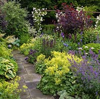 Path edged in catmint, alchemilla, hosta, prunella, salvia. Right bed - allium, euphorbia, fennell, campanula, lupin, cotinus, Geranium Rozanne. 