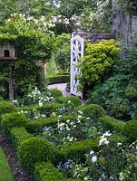 Box edged bed of Rose 'Little White Pet', nicotiana and pansies flanks path leading to white gate and potager. Trained over arch, roses Graham Thomas, Brenda Colvin.