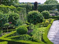 Potager with clipped standard medlars in box-edged beds of herbs, violas, roses, vegetables. Box and lonicera topiary.