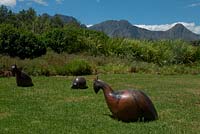 Wood sculpture of guineafowl. Children's play area. Vergelegen gardens. Somerset West. South Africa
