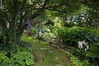 Grass and flagstone path next to Acer ginnala with grey wooden birdhouse underplanted with Asarum canadense and border with Matteucia struthioptetris, Kirengeshoma palmata, Astilbe arendsii 'Weisse Gloria' flowers in private backyard garden in summer