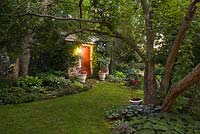 Acer ginnala underplanted with Asarum canadense and green grass path leading to old stone garden storage shed covered with climbing Menispermum canadense next to border with Hosta plants in private backyard garden in summer at dusk