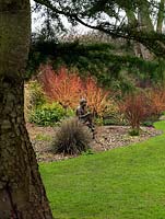 A statue of a young boy provides a creative focal point in a winter garden, it is highlighted by the bright stems of the Salix growing behind.
