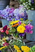 At Organic Blooms, flowers are grown for cutting and arranging. They include marigold, cosmos, larkspur, ammi, sweet peas, clary sage, scabious, sweet william, achillea, nicotiana, cornflower, godetia, feverfew, zinnia and statice.