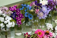 Cut flowers grown in the garden, including sea lavender, love-in-the-mist, clary sage, scabious, Verbena bonariensis