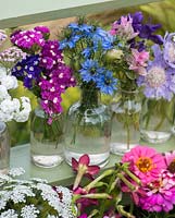 Cut flowers grown in the garden, including achillea, sea lavender, love-in-the-mist, clary sage and scabious.