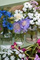 Cut flowers grown in the garden, including love-in-the-mist, scabious, achillea, lacecap and nicotiana.