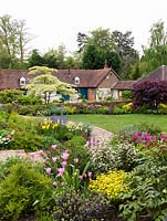 Old walled cottage seen over pink Tulipa Blue Ribbon, China Pink, Rosalie. Middle bed planted with gold Tulipa West Point, blue camassia, Narcissus Pipit. Trees include Cornus controversa Variegata and Acer palmatum.
