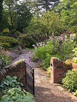 Path edged in cosmos, Geranium Rozanne, Nicotiana sylvestris, Rosa Bonica, angelica, Leucanthemum x superbum, Verbena bonariensis - leads to sorbus, maples.