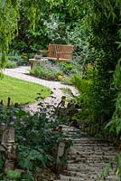 View over birch walkway and shady bed of hardy geranium and fern, up stone chipping path to new curving terrace edged in orange marigolds, yellow rock rose and blue hardy geranium.