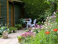 Tucked away between conifer hedge and shed, white metal table with pots of Rhodohypoxis. Seen past herbaceous bed of sea pinks, poppy, aquilegia, hosta, hardy geranium.