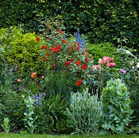 View of herbaceous border of poppy, delphinium, scabious, hardy geranium and roses on obelisk - white Sally Holmes, red La Sevillana and creamy Buff Beauty. Obelisk adds height, enabling vertical planting and therefore additional growing space in a small border.