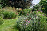 A grass path leading to the house through double borders planted with Calamagrostis, Miscanthus, Stipa grasses and annual wildflower mix.