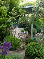 Glimpse past Allium 'Purple Sensation', holly and box to concrete sofa in shade of pergola and tucked away beside fatsia, pittosporum.