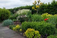 White Flower Farm bed, Christopher Lloyd's inspired border with papavers, spirea, ornamental grass, ninebark