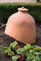 Terracotta Rhubarb Forcer by Yorkshire Flowerpots in the vegetable garden at RHS Wisley Gardens, Surrey