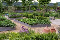 A vegetable garden with raised beds containing potatoes, carrots, peas, chives and lettuce varieties. Glimpsed through hornbeam screen