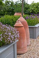 Thyme and chives in raised beds flanking two rhubarb forcing pots.