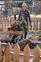 Early spring preparation of vegetable beds. Man pushing wheelbarrow full of pulled plants for composting.