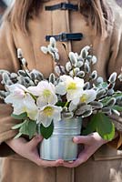 Girl with arrangements of Christmas roses and catkins.