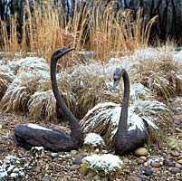Two swan statues rest amongst ornamental grasses, all sprinkled with snow.