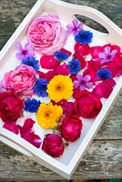 Making potpourri step by step. Flowers and petals ready for drying for potpourri are placed on trays, covered in paper, and placed somewhere warm, dry and airy. Blooms should be turned daily.