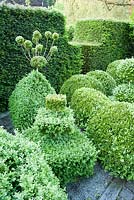 Topiary garden filled with low clipped box bushes surrounded by yew hedges. 